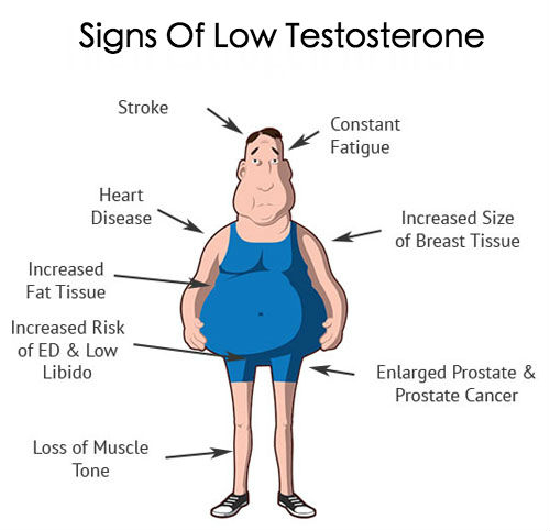 Testosterone Hormone